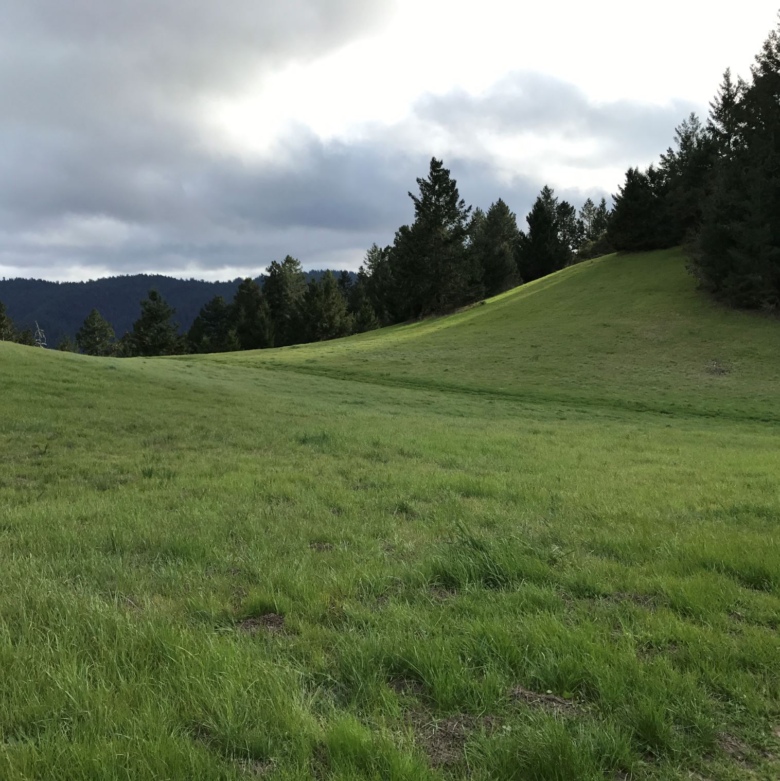 Meadows surrounding the Hiker’s Hut