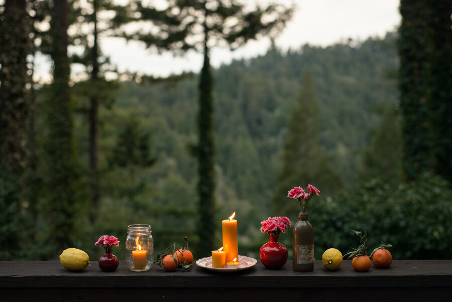 Photo by Erin Gleeson of the Forest Feast Blog