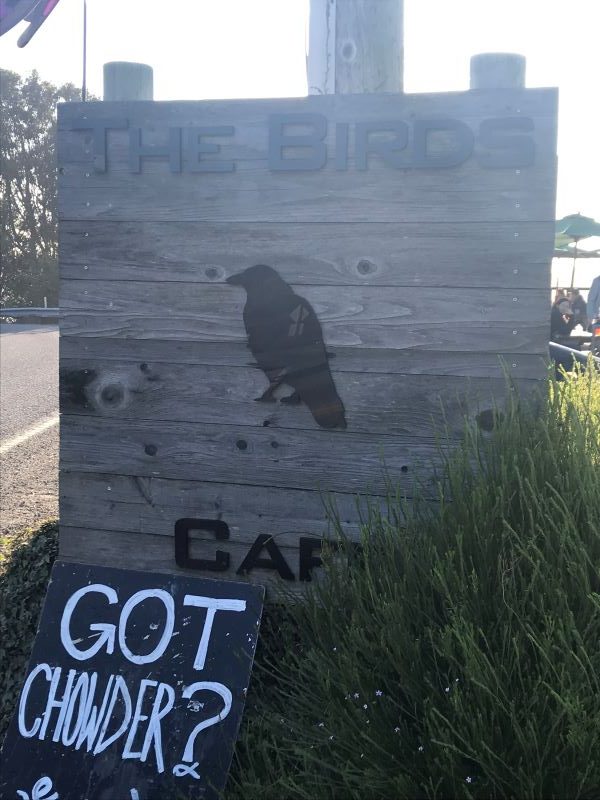 The birds cafe in Bodega Bay