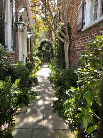 A private walkway in Charleston